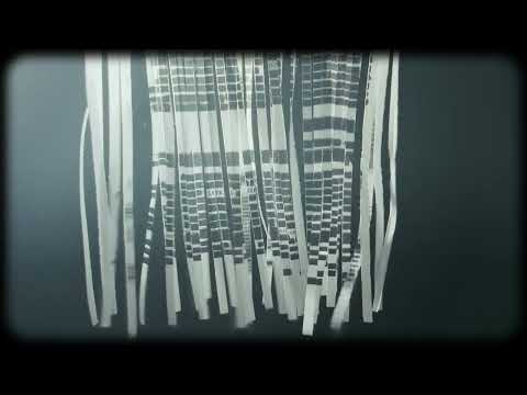 Deathpact - RUTHLESS (Official Audio)