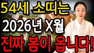 Download lagu [2026 Fortune for the 1973 Ox, Age 54] True spring is coming!!✨ If you’re a 54-year-old Ox, this ... mp3