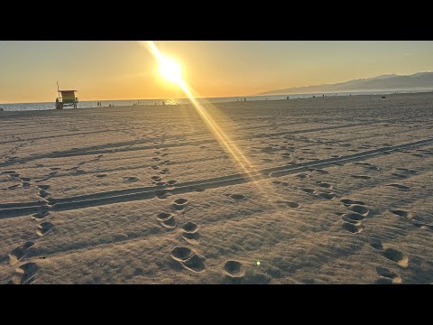 Whispers of Dusk: A Venice Beach Meditation
