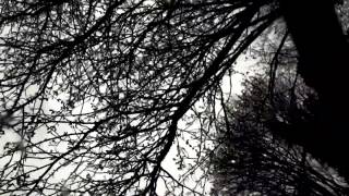 Requiem _ Dark Side of the Tune