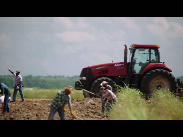 Queen Sugar on OWN Premieres September 7th