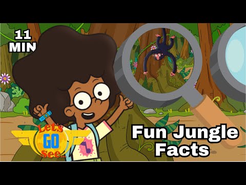 Planes, Facts and Fun in the Rainforest for Kids | Amazon Fun | Let's Go See - Kingdom Kids Zone, Little Learners - Let's Go See