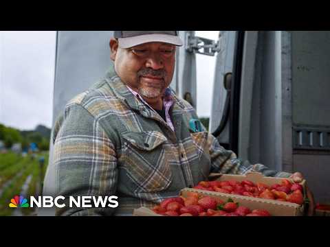 Affording America: The rising costs of family farming