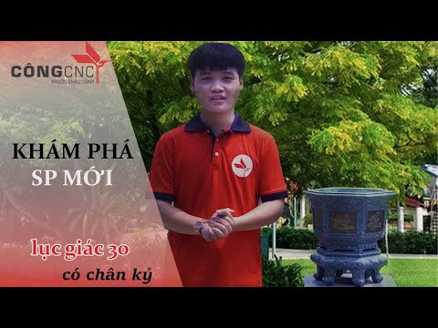 Sức hấp dẫn của sản phẩm khuôn chậu lục giác 30 mini kèm đôn kỷ