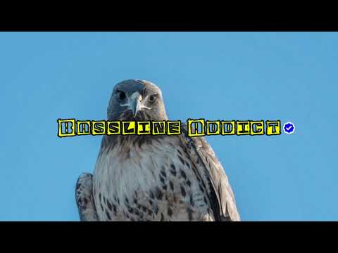 Nativ - Shifty (Lenkemz Remix)│BasslineAddict