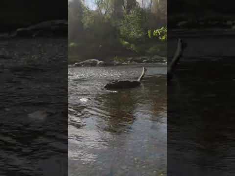Los Cerritos de Los Pozos Panamá provincia de Herrera