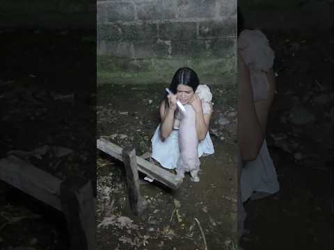 Tuve que acabar con mi mascotita 💔😭