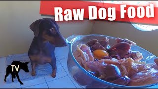 Download lagu Third year of Doberman eating raw meats | Raw Feeding Vlog mp3 Download lagu Third year of Doberman eating raw meats | Raw Feeding Vlog mp3