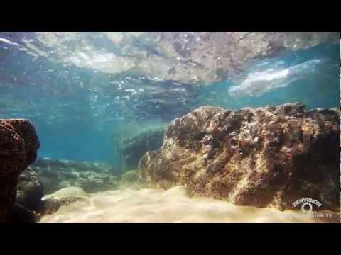 So much Magnificence. Relaxing underwater video.
