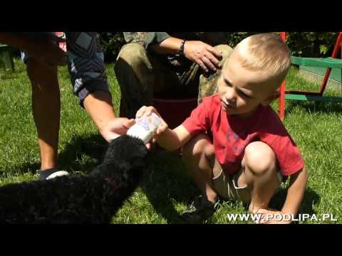 Gospodarstwo agroturystyczne Pod Lipą - baranek Gondzio cz.1