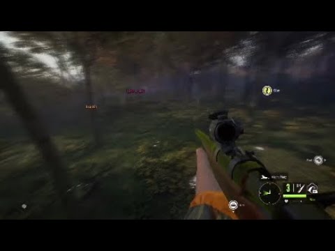 The Hunter Drückjagd