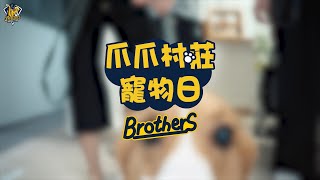 [分享] 阿坤與柯基玩在一起~寵物日商品拍攝花絮