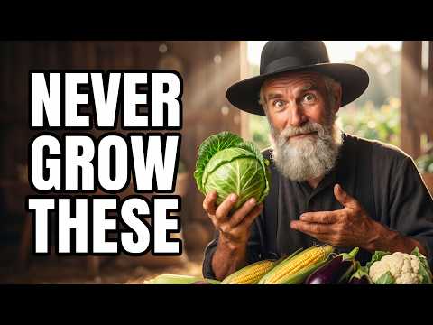 Why the Amish Refuse to Grow These 7 Popular Vegetables (The Reason Will Change How You Garden)