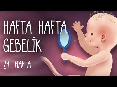 Hafta Hafta Gebelik 29. hafta