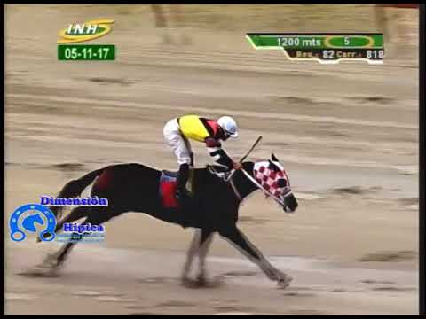 Resumen carreras La Rinconada domingo 5-11-2017