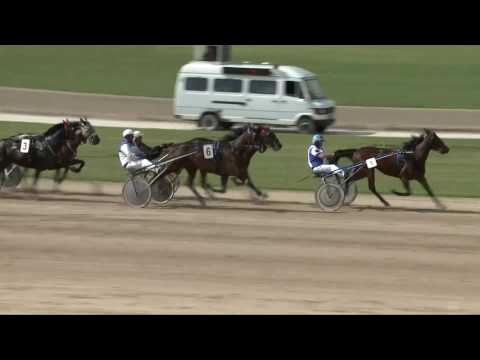 2017.05.06. 4. futam - DINGÓ DÍJ