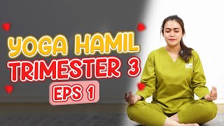Download lagu Yoga Hamil Trimester 3 Mengoptimalkan Posisi Janin #part2 || Ayu Harisyah Putri - Medikacare mp3