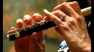 Video thumbnail for Gemeinhardt 4p Used Piccolo Video Sample - No Repairs Needed by Flutastic!