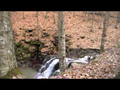 Comuna Brazii, un loc ideal pentru investitori şi turism 5