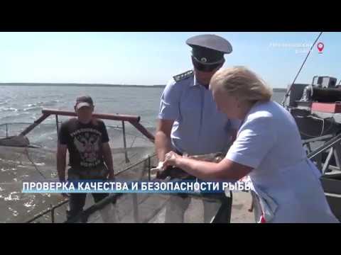 Управление Россельхознадзора провело мониторинг рыбоводного хозяйства в Ростовской области