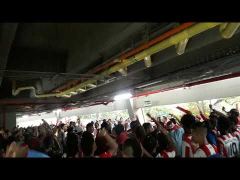 "Queremos la copa - Final Liga Aguila 2019, Frente Rojiblanco sur - Junior vs Pasto." Barra: Frente Rojiblanco Sur • Club: Junior de Barranquilla