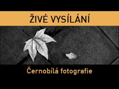 Fotograficky.guru - Černobílá fotografie