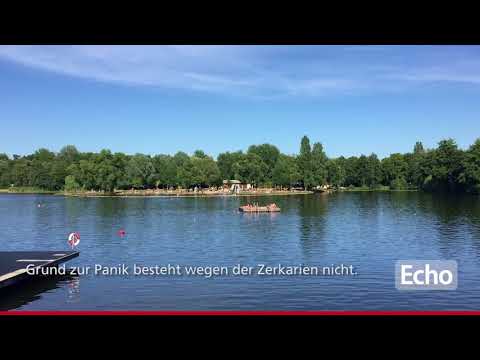 Zerkarien machen Probleme