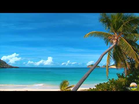 Hawaii Tropical Beach, Relaxing Ocean Sounds - Nature Sounds 1080p