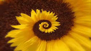 Laz Electronic Music - MIRACLE (Erasure Cover)