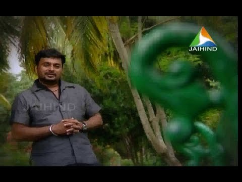 ISSAI NERAM Epi 03 B