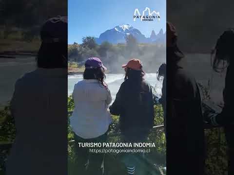 Patagonia Indomia de la emblemática ciudad de Punta Arenas, es epicentro del espíritu...