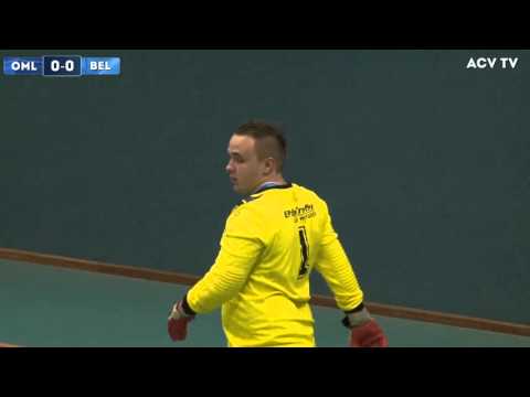 Samenvatting Omlandia-Bellingwolde