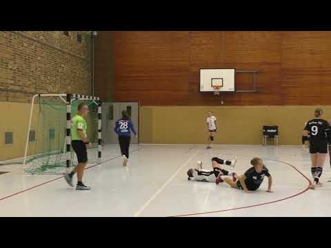 Videokurzbericht zur 3.Liga Partie des Berliner TSC gg. VfL von 1850 Stade