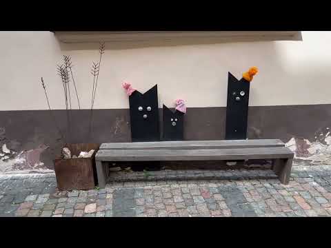 Old Riga and cats 🐈‍⬛