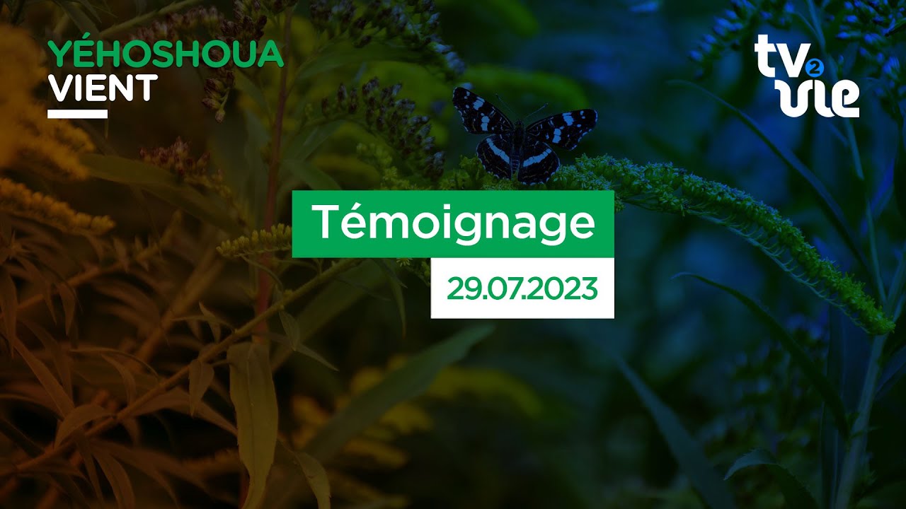 Thumbnail of video: Témoignage