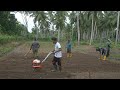 එලවලු වගාවට බිම් සැකසිම Home Gardening Organic Gardening ග