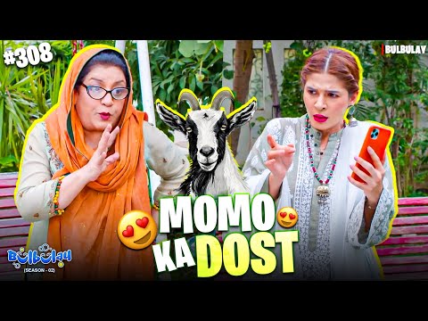QURBANI KA BAKRA 😍🐐 | Bulbulay Season 2 | Episode 308 | Momo & Nabeel | Khoobsurat | Comedy 2025