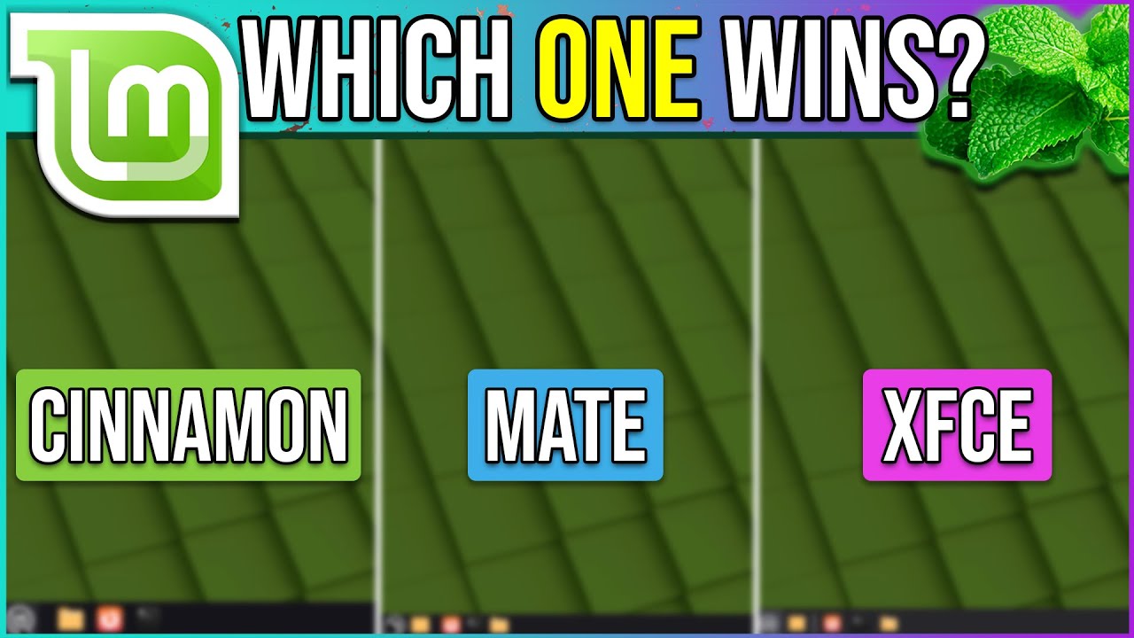 I Compared All Linux Mint Versions: Cinnamon vs MATE vs XFCE