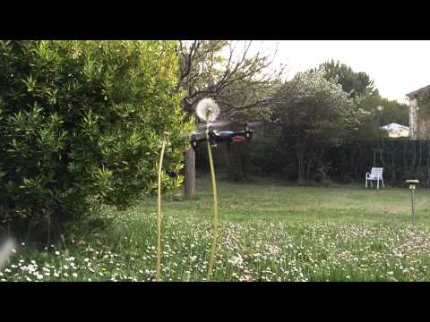 Quadcopter Hubsan X4 cutting Dandelion (Pissenlit) in Slow