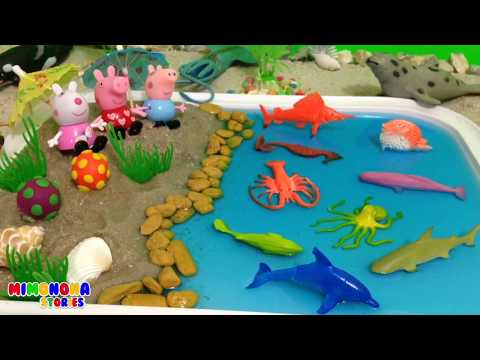 Colores y Animales del Oceano - Mar 🐳| Videos de Animales para niños | Mimonona Stories Video