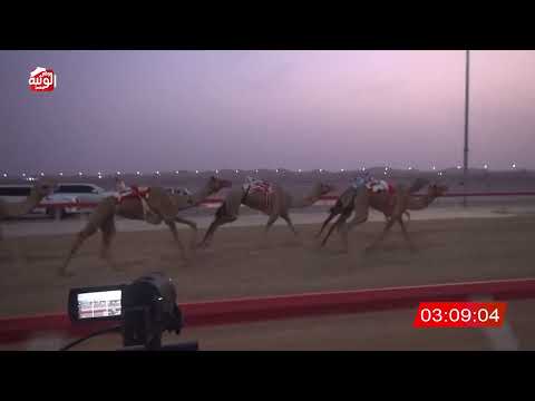  ش 1 (حفله) لـ سعيد علي بن سعيد علي الدرعي 6:31:66 ، مهرجان العين 2026/08/09 حول وزمول الوقن