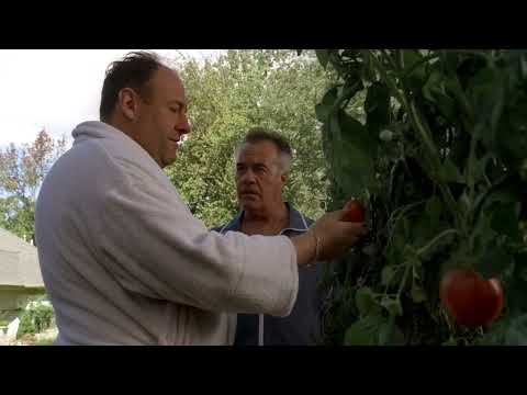 Tony első gyilkossága - Maffiózók