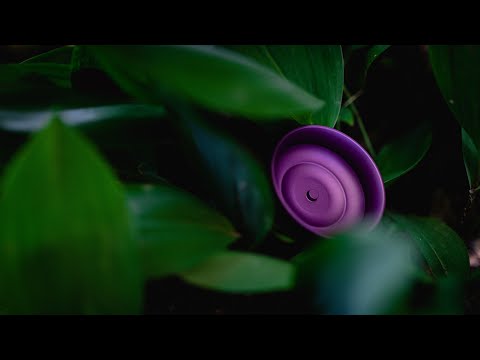 YoYo Review: Showpony from Rain City Skills