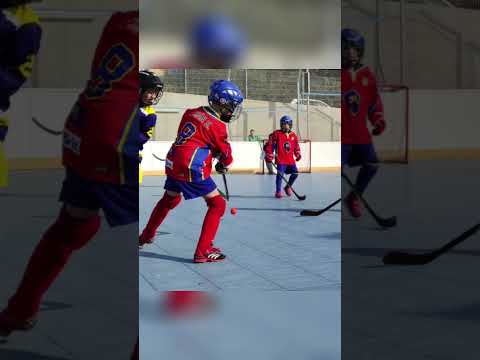 Zimní stadion v Dobříši - umělý povrch, inline hokej, hokejbal, florbal.