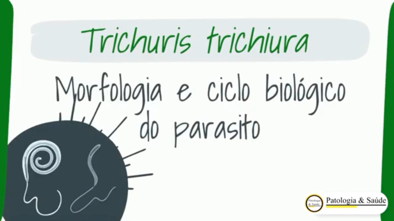 Tricuríase: O que é e quais os sintomas?
