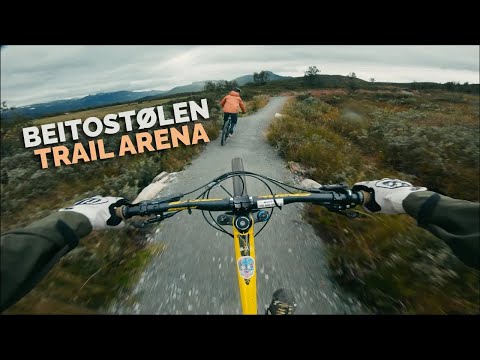 The Best MTB Trails in Beitostølen Trail Arena