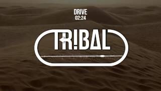 TroyBoi & Evil Needle - Drive