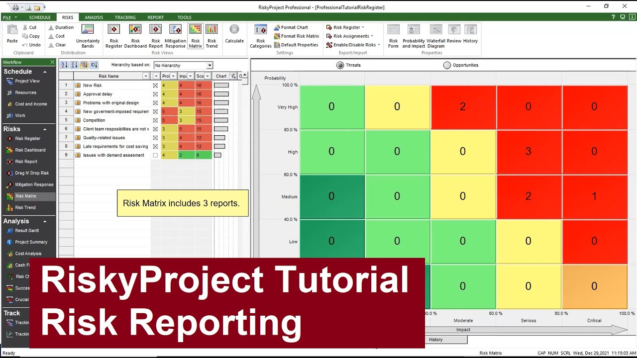RiskyProject Tutorial: Risk Reporting