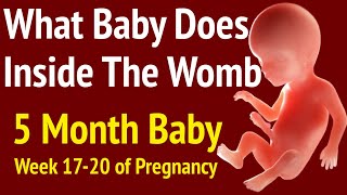 Baby Development During 5 Months Of Pregnancy - What All Baby Does Inside Womb, Length, Weight etc.