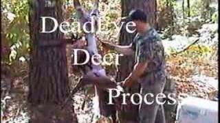 preview picture of video 'DeadEye Deer Process - Deer Processing made simple.'